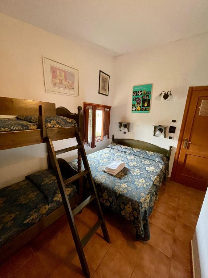 La Panoramica 89 Otel Pescasseroli Dış mekan fotoğraf