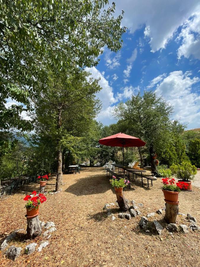 La Panoramica 89 Otel Pescasseroli Dış mekan fotoğraf